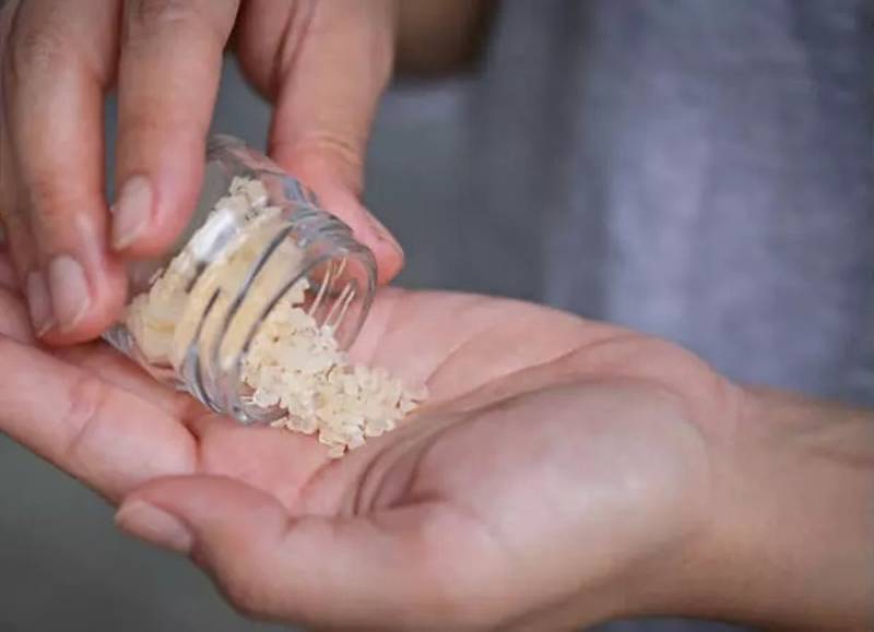 « زامبی » هنوز وارد ایران نشده